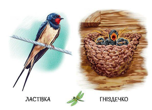 22 картинки. Хто живе у будиночку