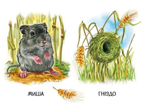 22 картинки. Хто живе у будиночку