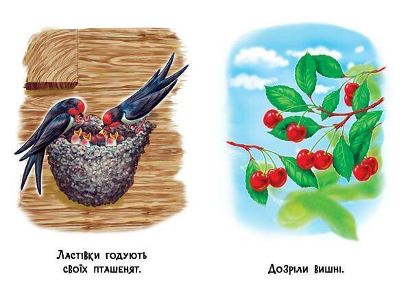 22 картинки. Пори року