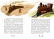 Казка про Паровозика, у якого була мрія 2978 фото книги 7