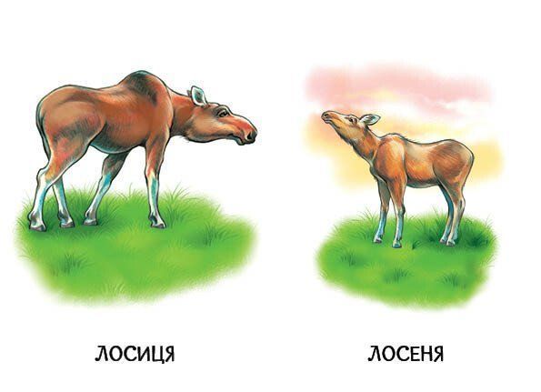 22 картинки. Мами і дитинчата