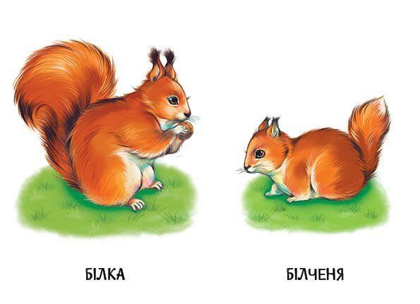 22 картинки. Мами і дитинчата