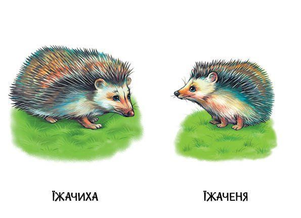 22 картинки. Мами і дитинчата