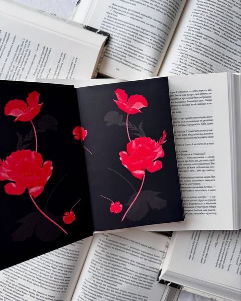 Священник. Книга 1