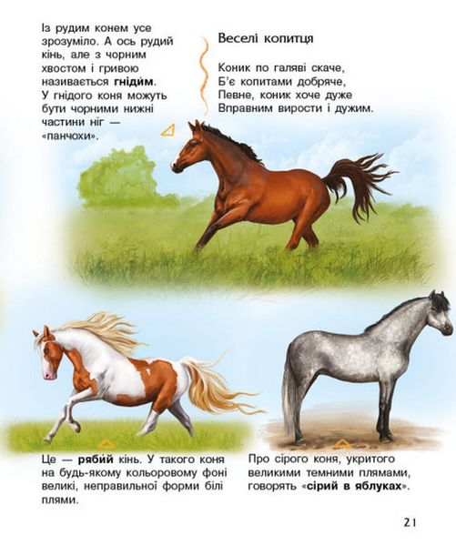Енциклопедія дошкільника : Коні
