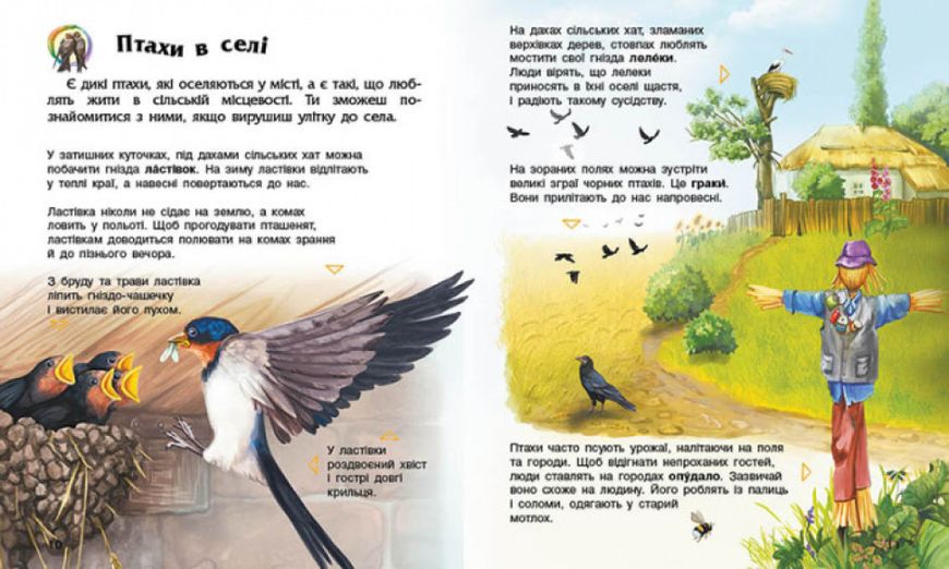 Енциклопедія дошкільника : Птахи