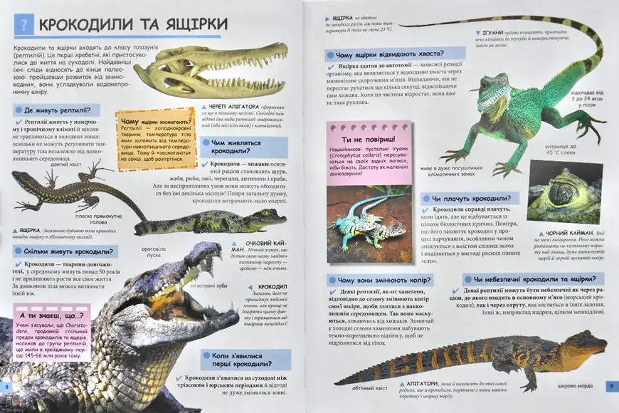 Ілюстрована дитяча енциклопедія у запитаннях і відповідях 2938 фото книги