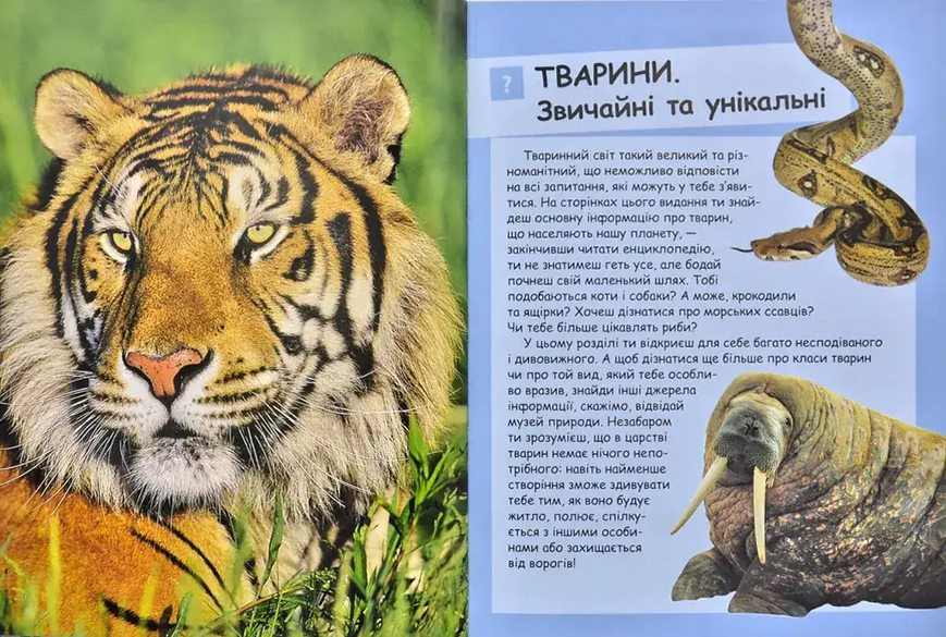 Ілюстрована дитяча енциклопедія у запитаннях і відповідях 2938 фото книги
