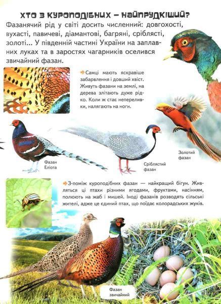 Дивовижна енциклопедія тварин у запитаннях і відповідях 2940 фото книги