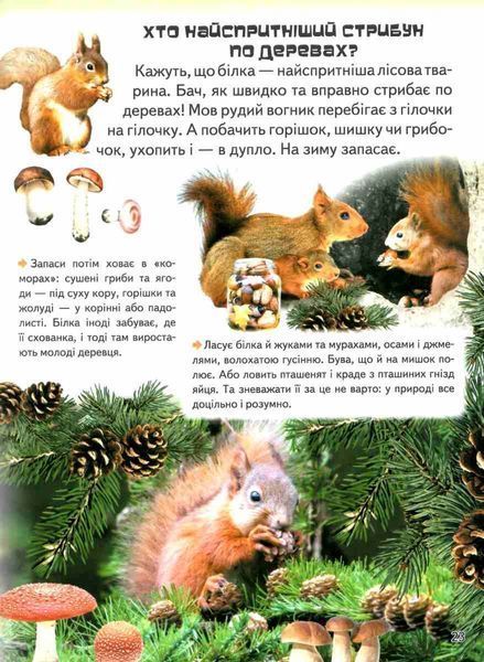 Дивовижна енциклопедія тварин у запитаннях і відповідях 2940 фото книги