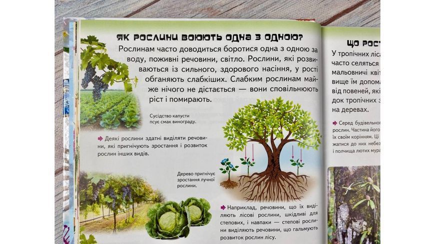 Велика дитяча енциклопедія 2942 фото книги