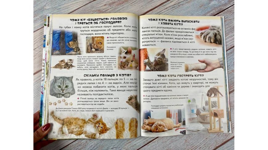 Велика дитяча енциклопедія 2942 фото книги