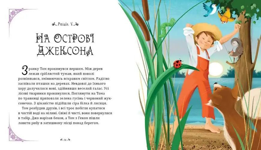 Пригоди Тома Соєра 3174 фото книги