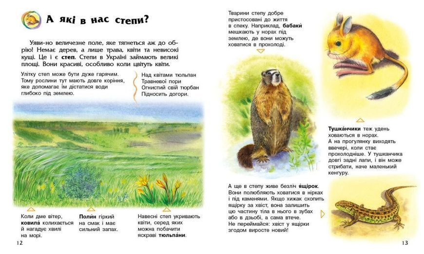 Енциклопедія дошкільника. Україна