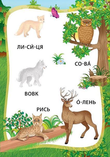 Я читаю по складах. Пригоди в лісі. Книжка з наліпками