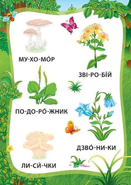 Я читаю по складах. Пригоди в лісі. Книжка з наліпками
