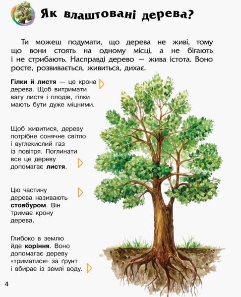 Енциклопедія дошкільника (нова) : Ліс