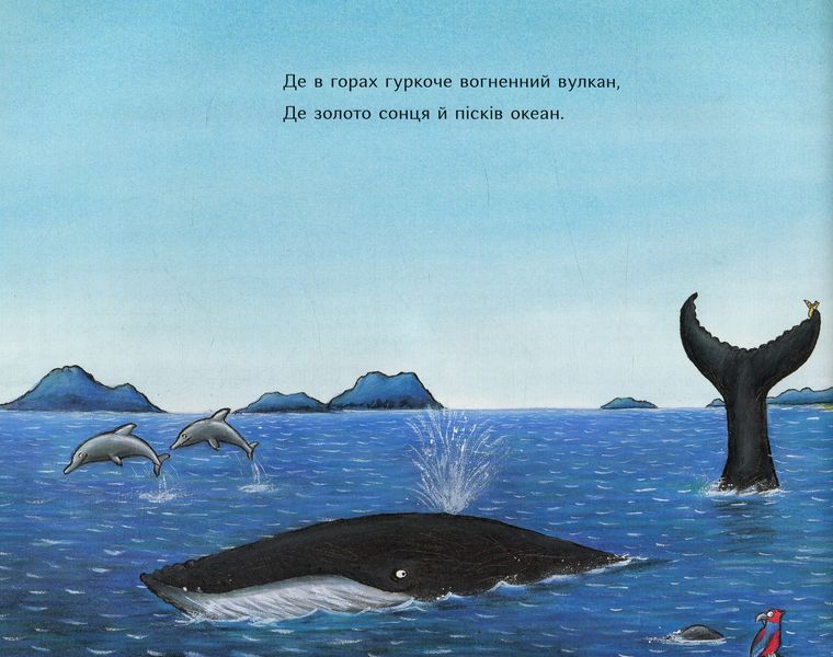 Равлик і кит. Дж. Дональдсон 356 фото книги