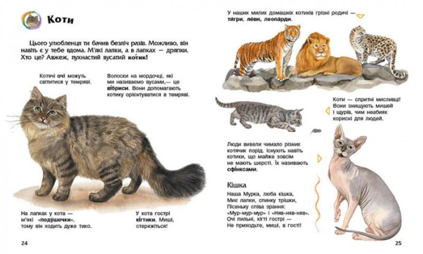Енциклопедія дошкільника (нова) : Свійські тварини