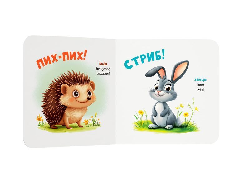 Розглядайка-розвивайка. Зоопарк