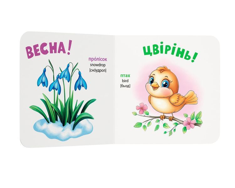 Розглядайка-розвивайка. Пори року