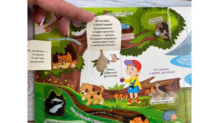 Книжка з віконцями. Для розумійок і всезнайок