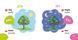 Пізнавайка-словничок. Природа