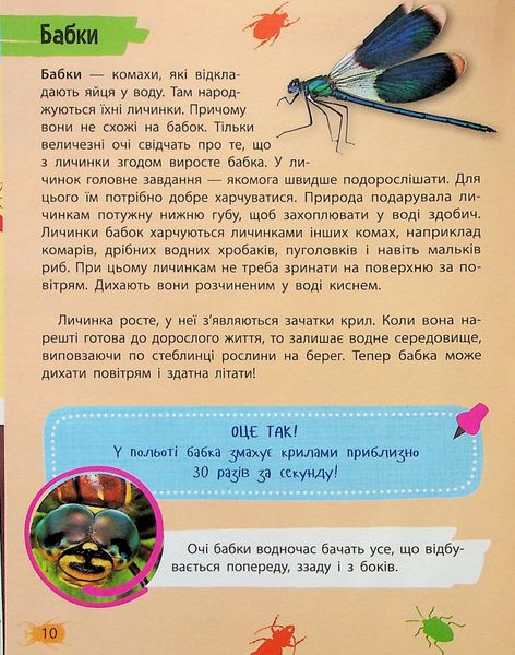 Мініенциклопедія. Комахи та павуки 251 фото книги