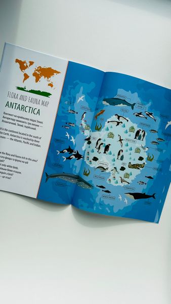 Дитячий простір: Тварини і рослини світу / Animals and plants of the world