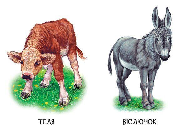 22 картинки. Свійські тварини